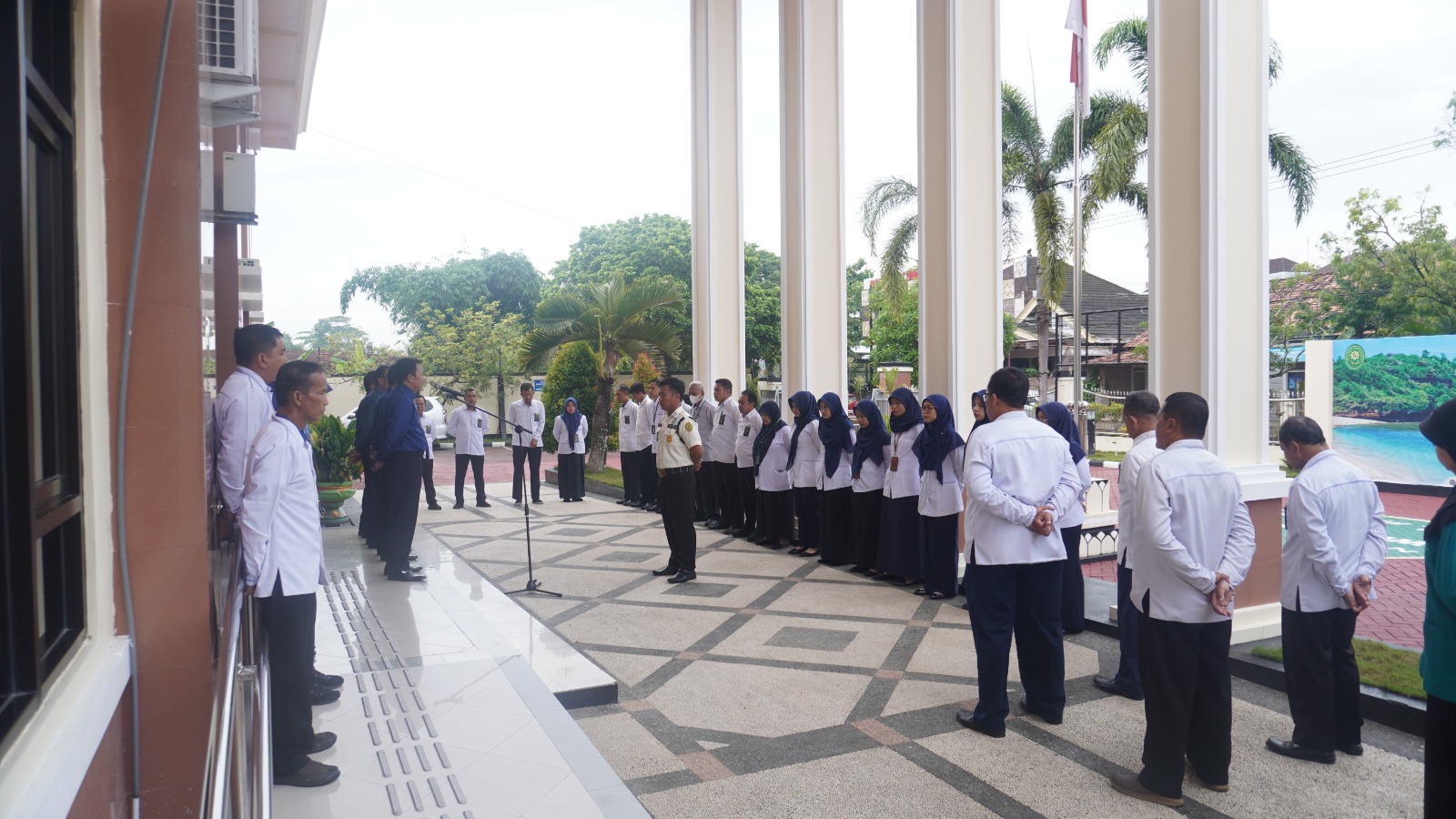 WhatsApp Image 2024-01-29 at 07.53.30.jpeg