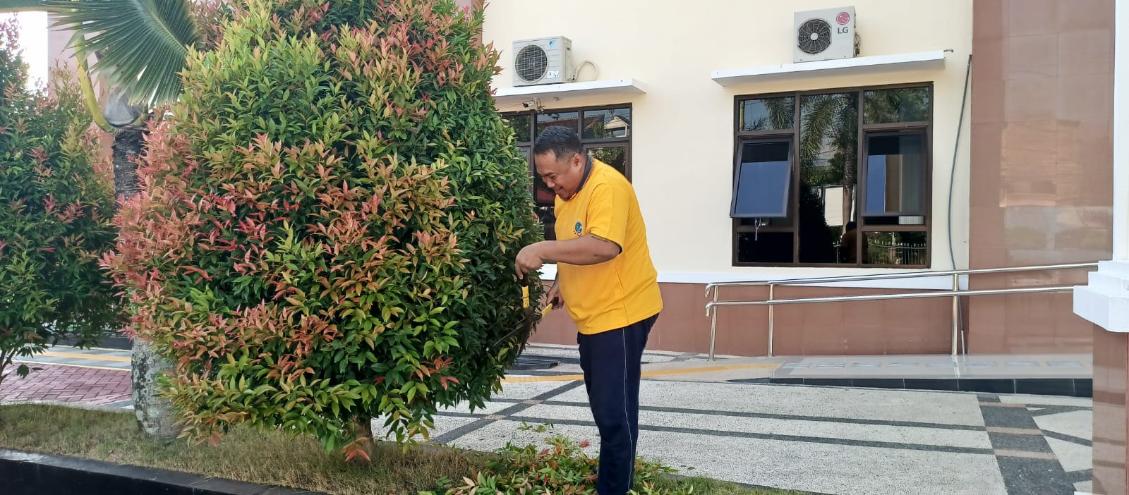 WhatsApp Image 2024-05-17 at 7.58.54 AM (1).jpeg