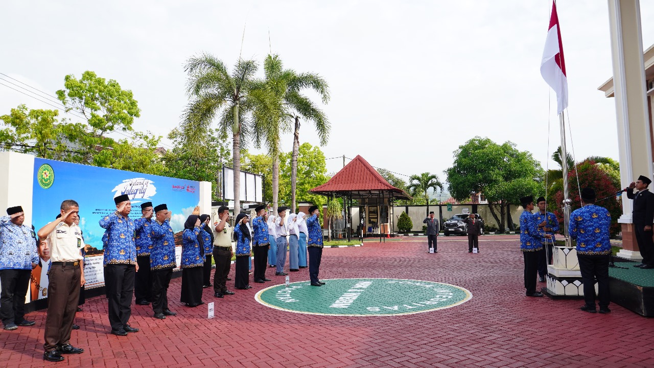 WhatsApp Image 2024-11-10 at 08.25.41.jpeg